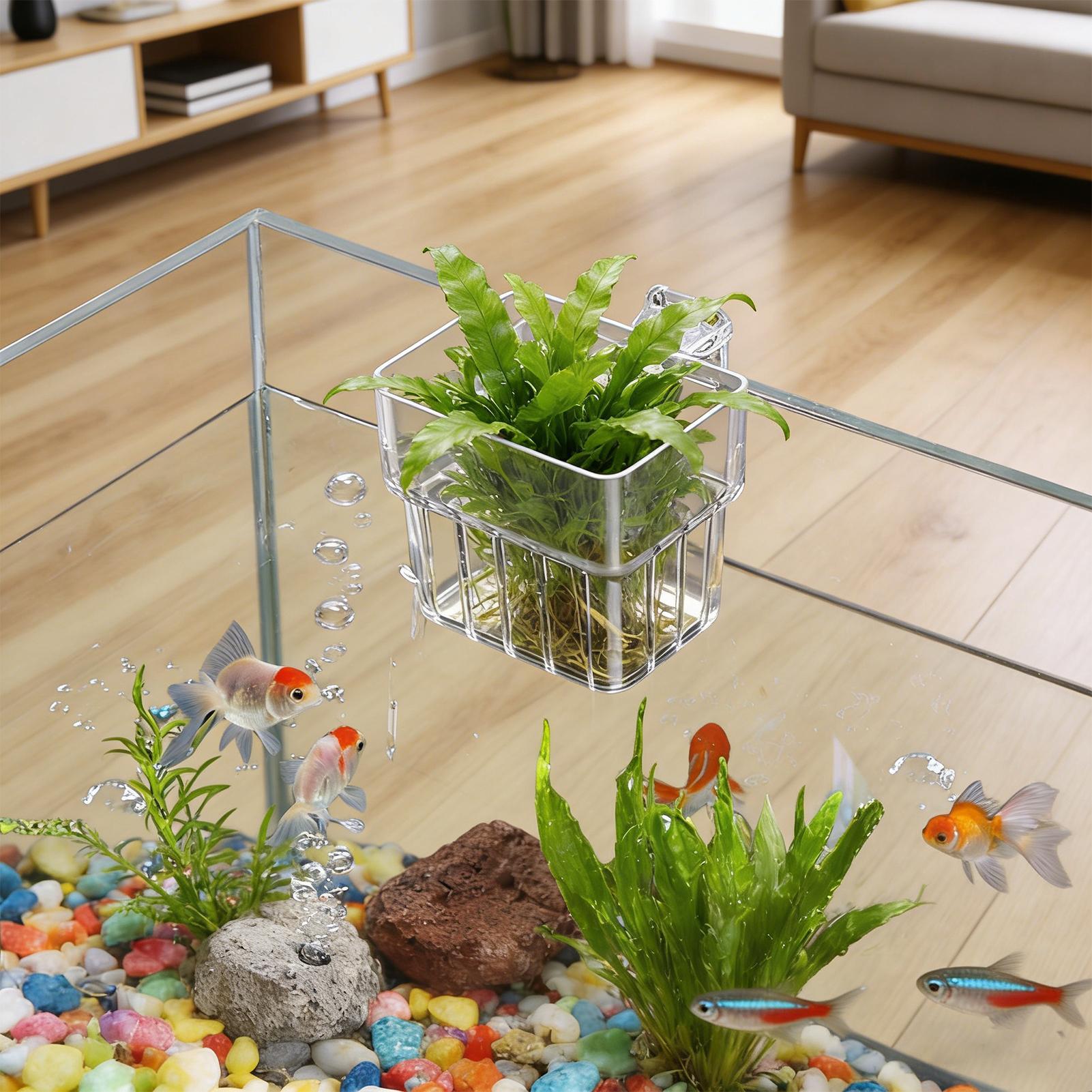 حامل شفاف قابل للتعليق لأحواض  - مراجعة Aquarium Plant Live وسعره