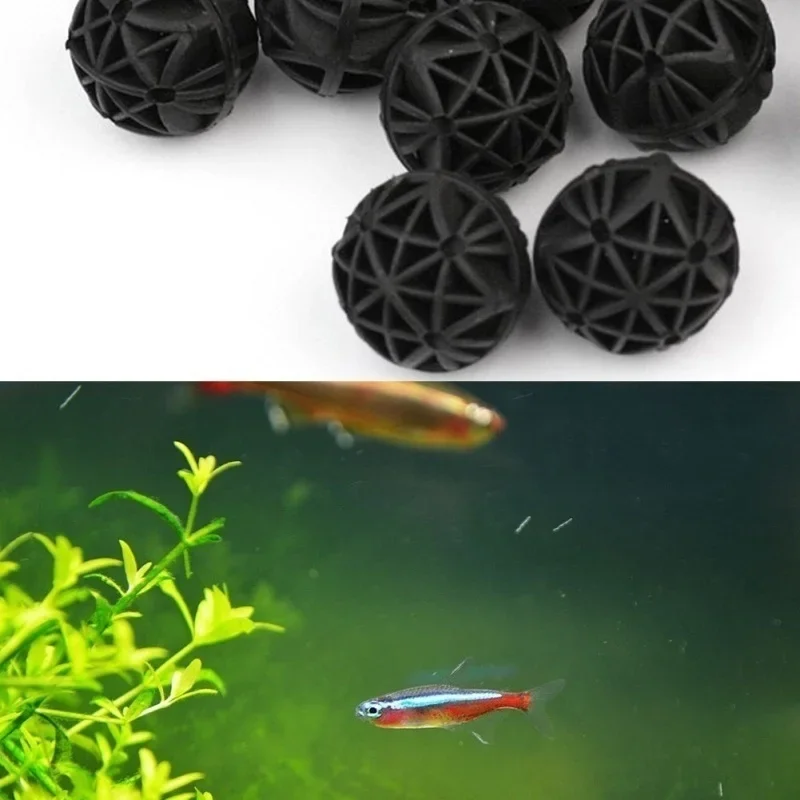 20 قطعة من كرات الترشيح الحيوي - مراجعة Aquarium Planted Tank Filter وسعره