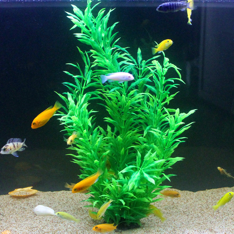 نباتات اصطناعية نادرة لأحواض ا - مراجعة Aquarium Plant In Pot وسعره