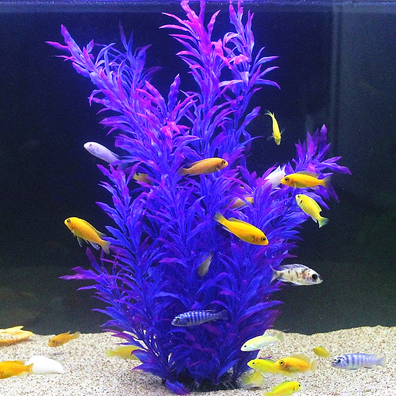 نباتات اصطناعية نادرة لأحواض ا - مراجعة Aquarium Plant In Pot وسعره