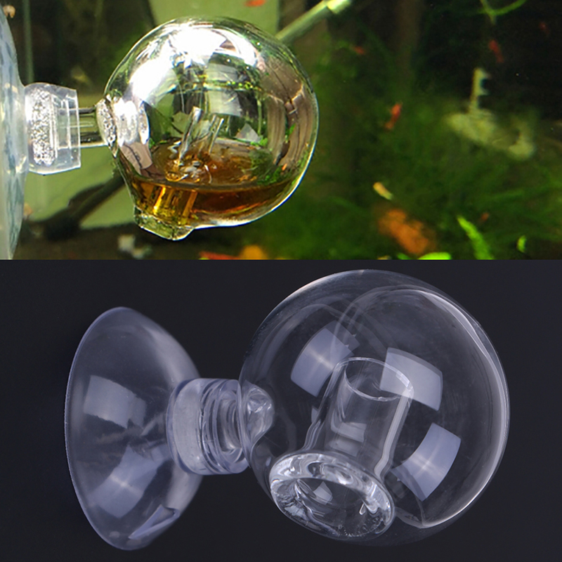 زجاج منتشر CO2 قطرة مدقق حوض ا - مراجعة Aquarium Plant In Pot وسعره