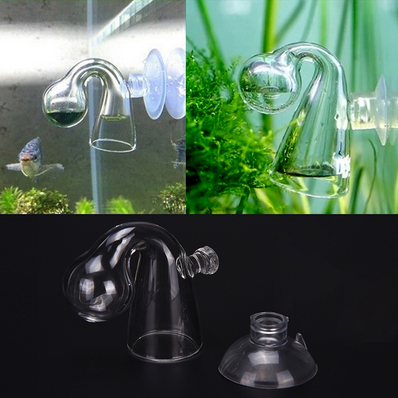 زجاج منتشر CO2 قطرة مدقق حوض ا - مراجعة Aquarium Plant In Pot وسعره