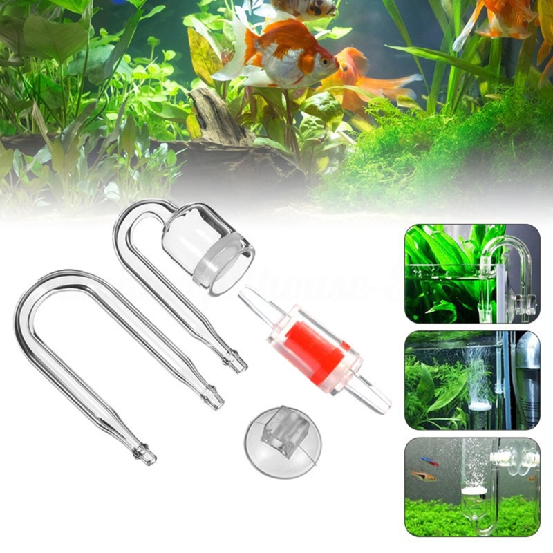 ناشر CO2 لحوض السمك ، خزان زجا - مراجعة Aquarium Plant In Pot وسعره