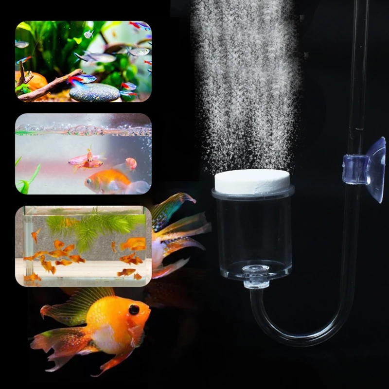 ناشر CO2 لحوض السمك ، خزان زجا - مراجعة Aquarium Plant In Pot وسعره