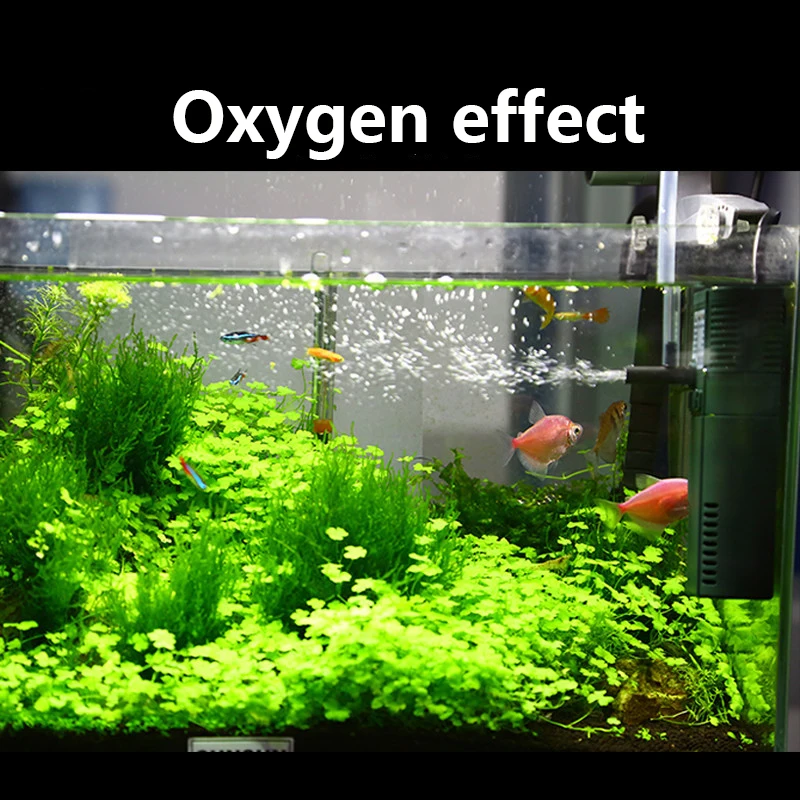 مضخة أوكسجين داخلي نانو صغيرة  - مراجعة Aquarium Planted Tank Filter وسعره